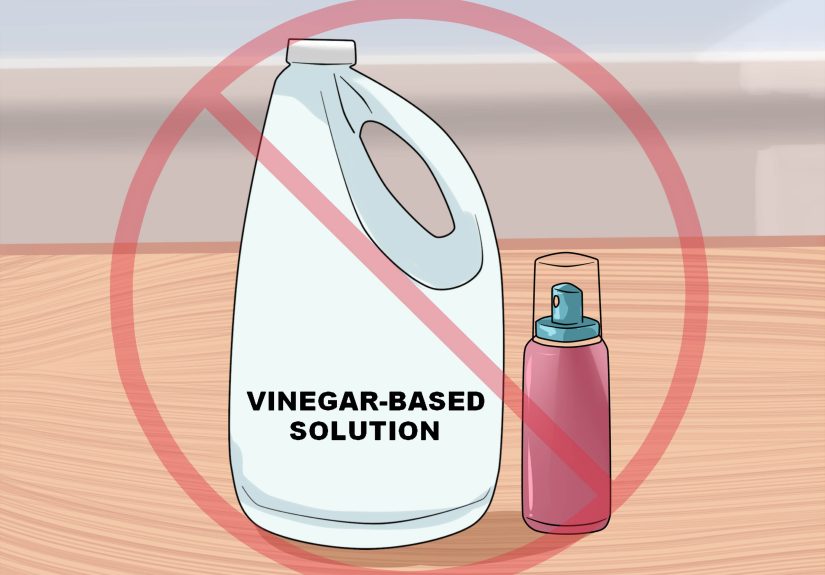 How to Treat Ear Infections in Cocker Spaniels: 11 Steps