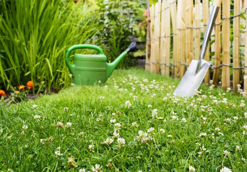 Lazy Lawns: What They Are And How To Achieve Them
