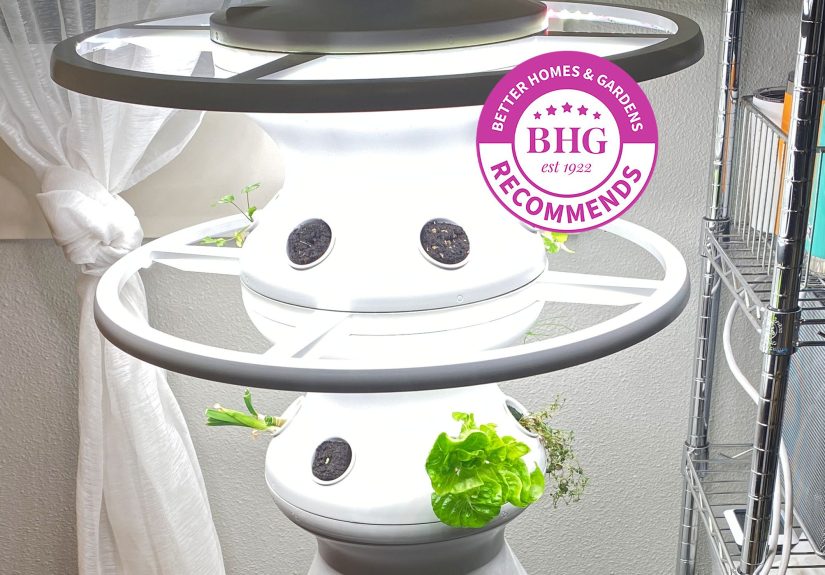 The 6 Best Indoor Garden Systems, Tested by BHG