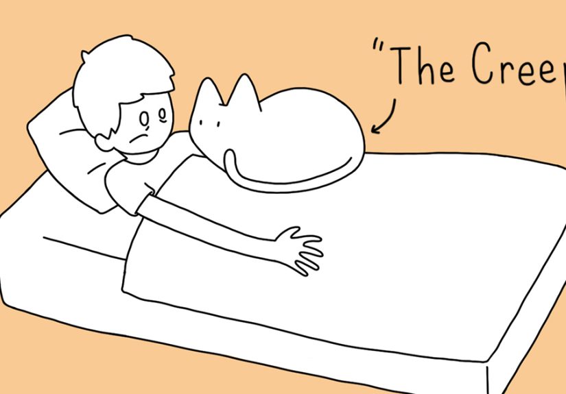 Top 10 Positions To Sleep With Your Human