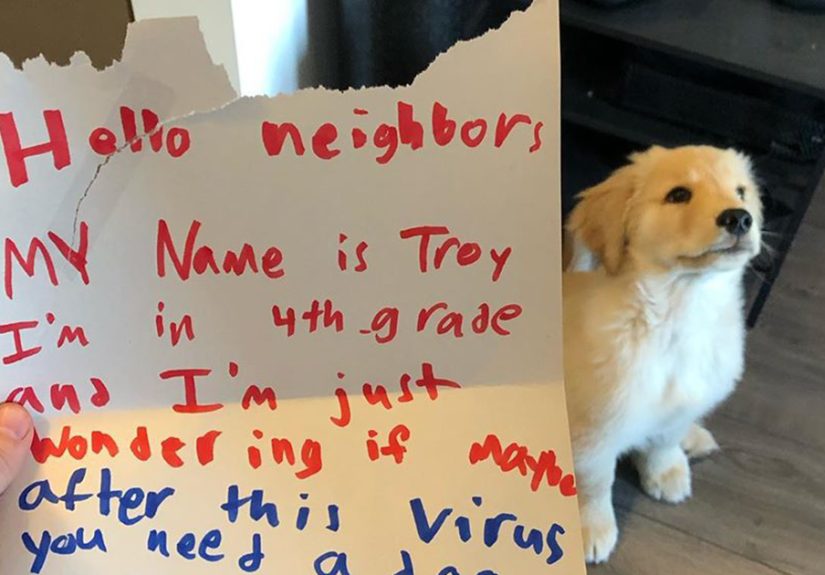 10 Y.O. Boy Writes A Letter To His Neighbor Saying “I’m Wondering If Maybe After This Virus You Need A Dog Sitter”