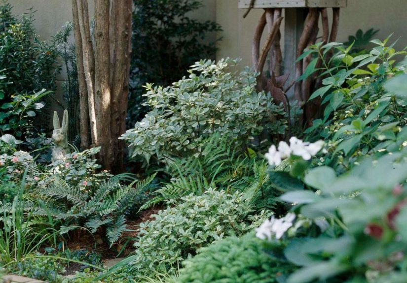 12 Tips for Pretty Vegetable Gardens That Yield Lots of Compliments