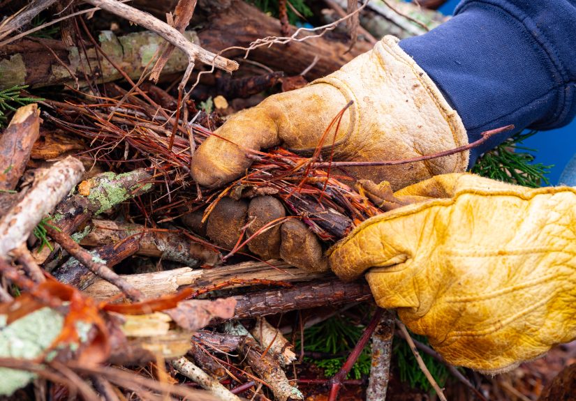 18 Smart Things to Do with Fallen Twigs and Sticks in Your Yard