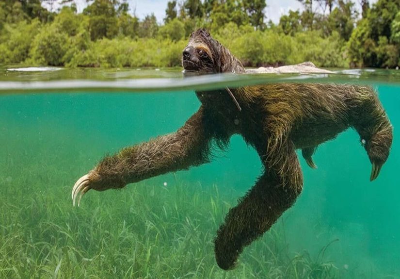 20 Counterintuitive Facts To Cook Your Noodle