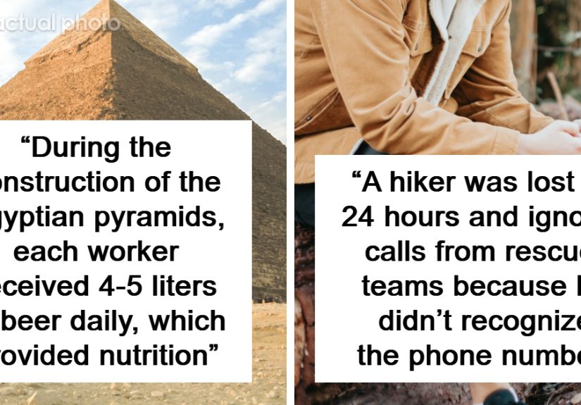 50 Weird Facts No One Really Asked For, But They’re Pretty Neat To Know (New Facts)