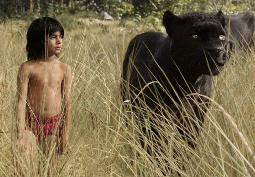 All the Disney Live-Action Remakes Since 2010, Ranked by Fans