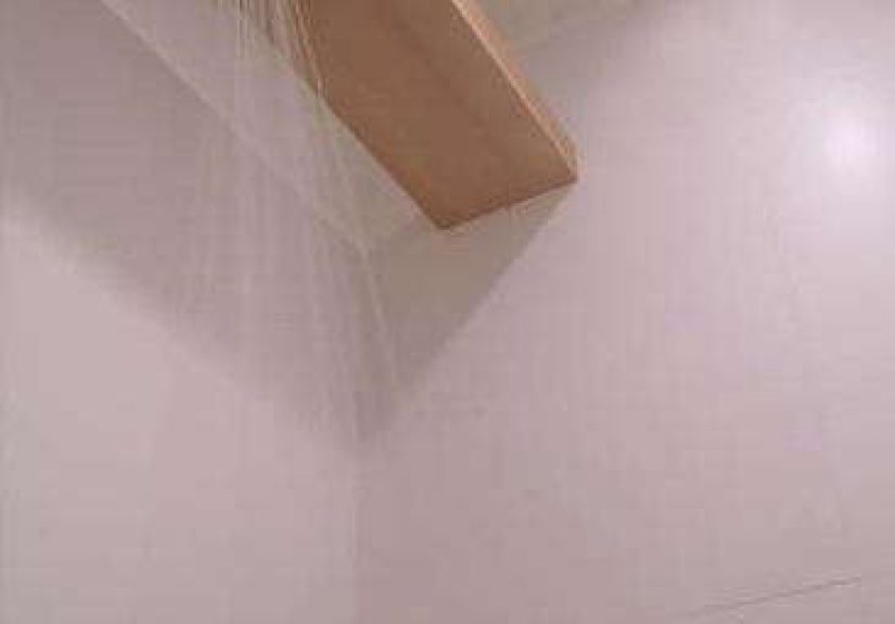 Bath: Simple Shower Head Detail