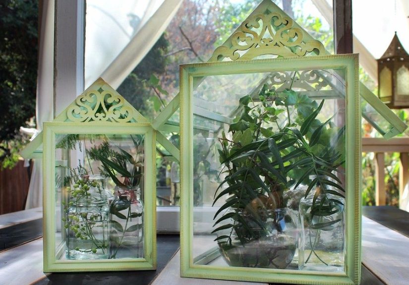 Dollar Store Frame Terrariums