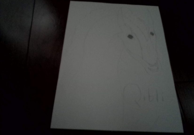 Draw Your Best Wings Of Fire Character