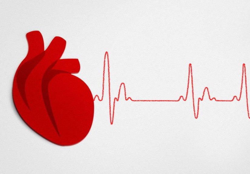 Heart Valve Disorders: Causes, Symptoms, and Diagnosis