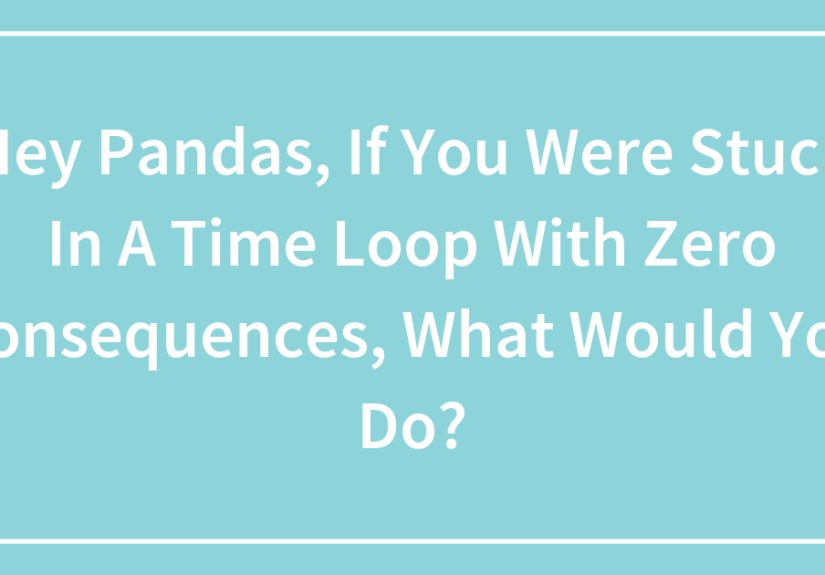 Hey Pandas, If You Were Stuck In A Time Loop With Zero Consequences, What Would You Do?