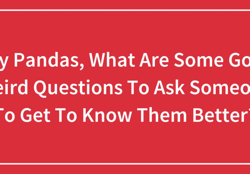 Hey Pandas, What Are Some Good Weird Questions To Ask Someone To Get To Know Them Better?