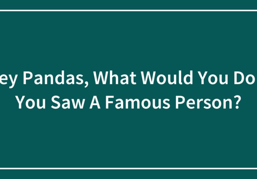 Hey Pandas, What Would You Do If You Saw A Famous Person?