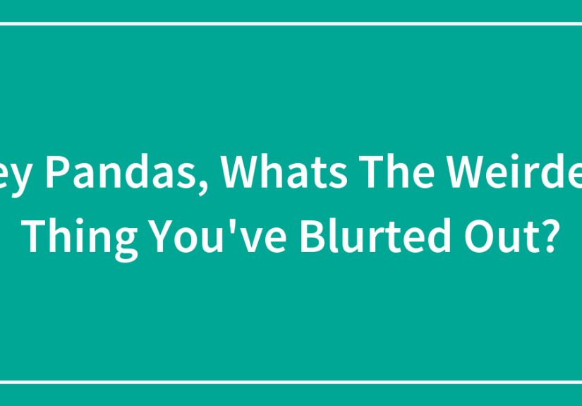 Hey Pandas, What's the Weirdest Thing You’ve Blurted Out?