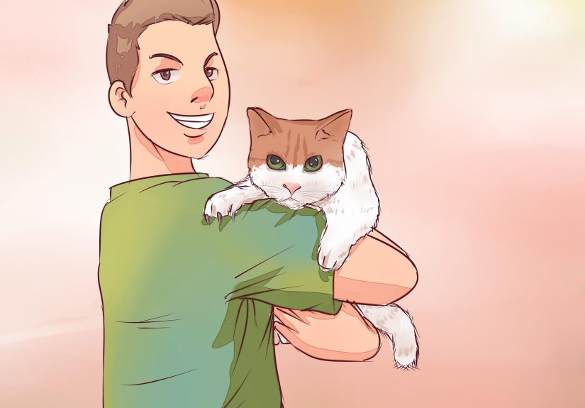 How to Know when to Euthanize Your Cat