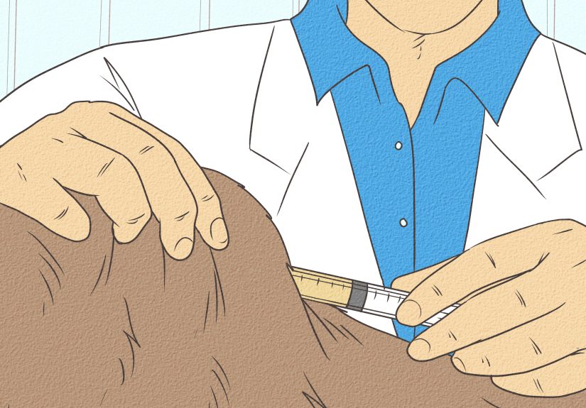 How to Remove Urine Smells from a Pet