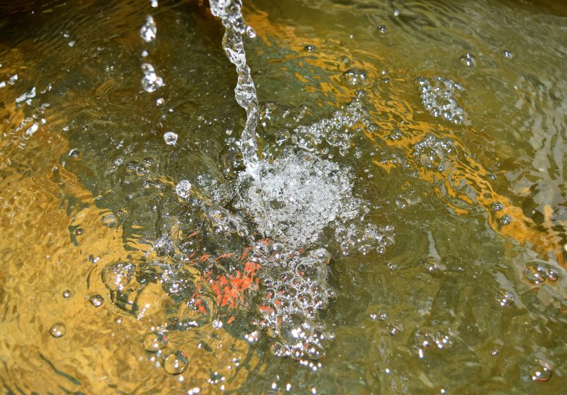 How to Set Up a Turtle Tank: 12 Steps