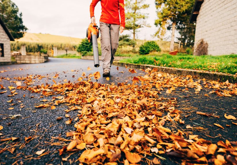 Is a Leaf Blower or a Rake Better for Cleaning Up Fall Leaves?
