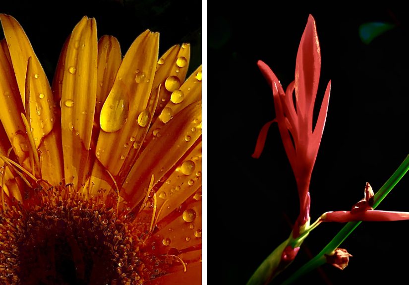 Mildly Good Photography By Me (8 Pics)