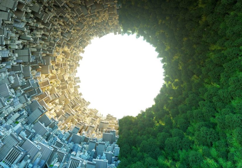 New Mycelium Composite Could Change Building