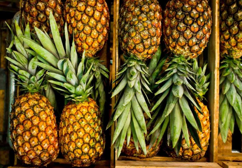 Pineapple Storage and Selection