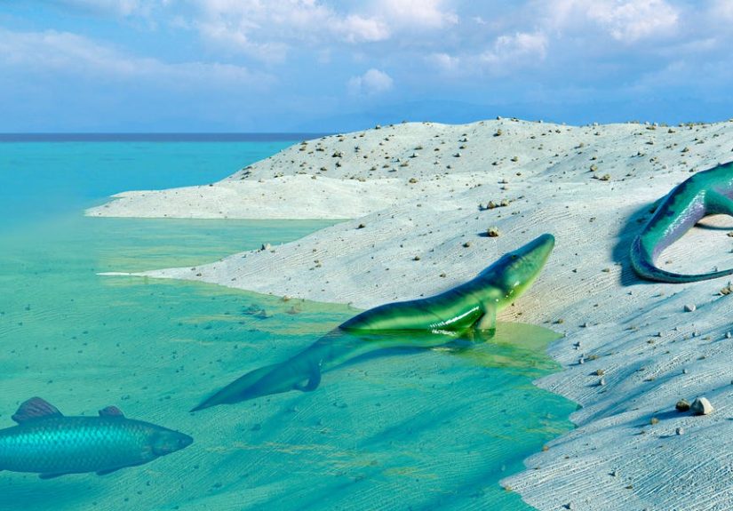 Scientists Have Observed Evidence of Evolution in Real Time