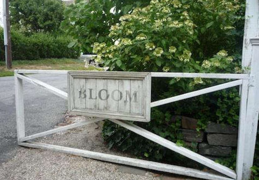 Shopper's Diary: Bloom in Sag Harbor