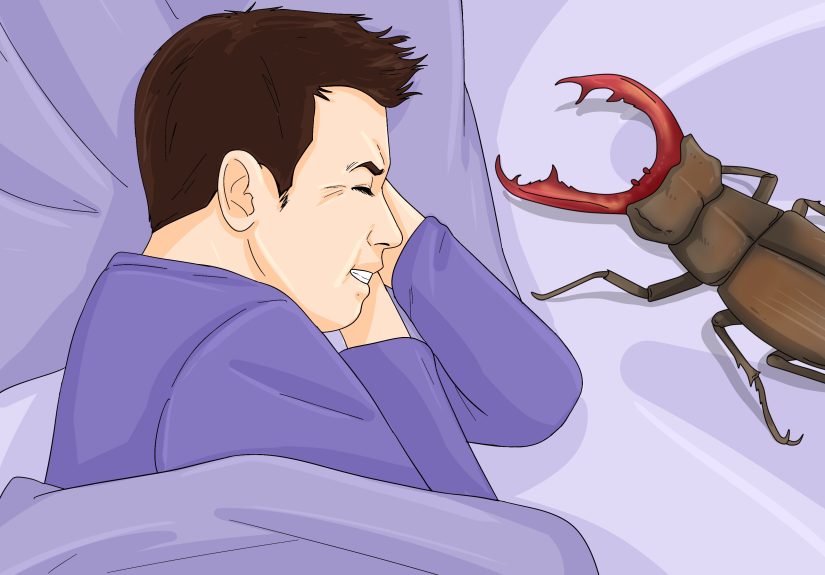 Spiritual Meaning of Beetles: Dreams, Symbolism, & Messages