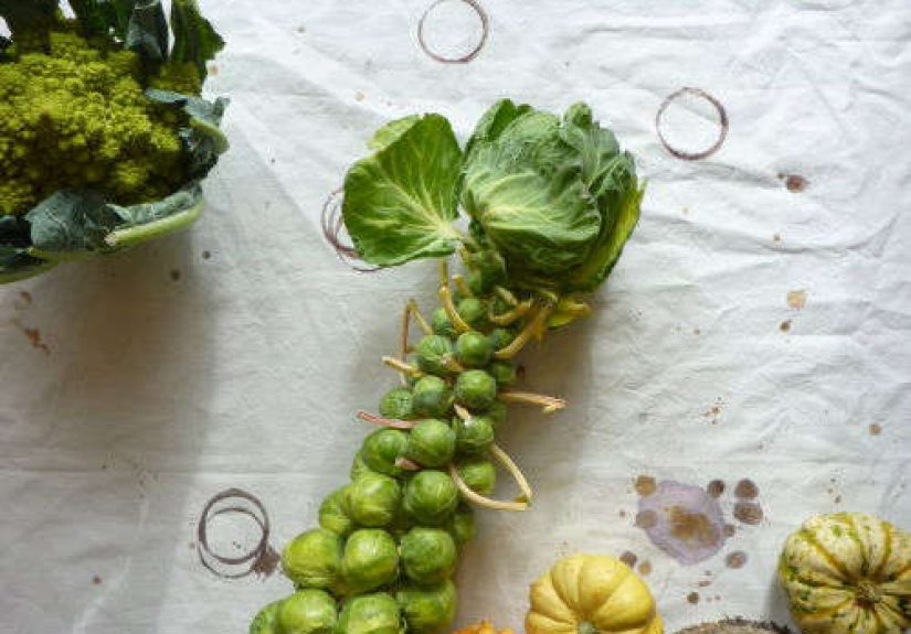 Tablecloths That Tell a Story
