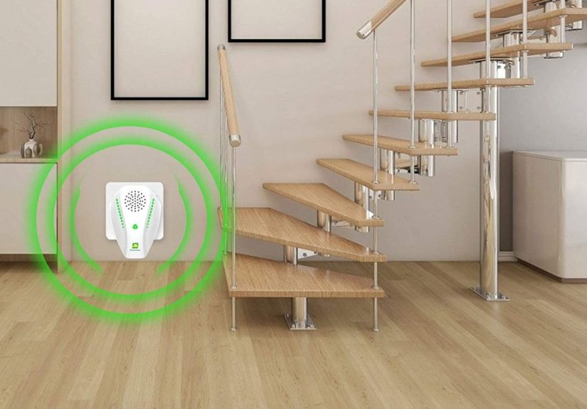 The Best Rat Repellents to Keep Your Home Rodent-Free