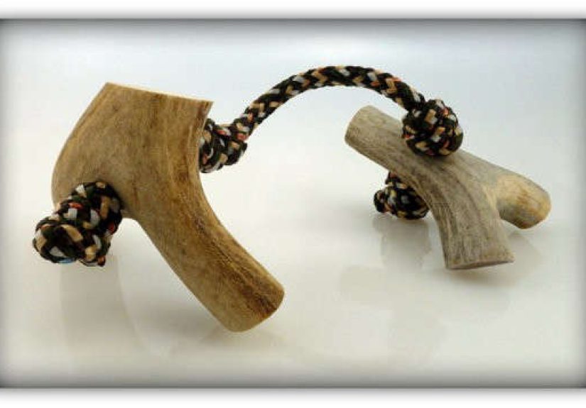 The Double Fork - Deer Antler Dog Chew Toy