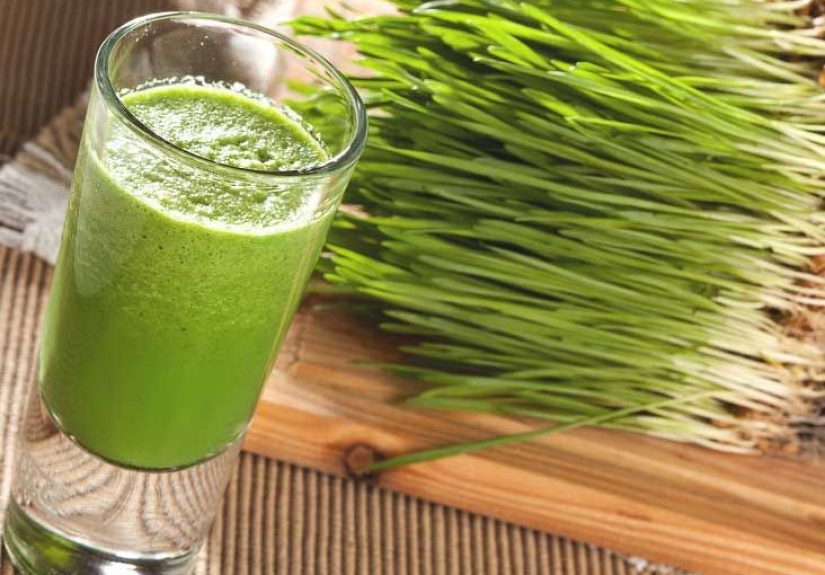 Wheatgrass: Benefits, Side Effects, and More