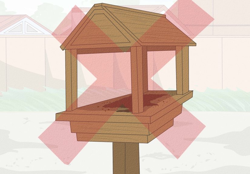 4 Ways to Keep Cats Out of the House