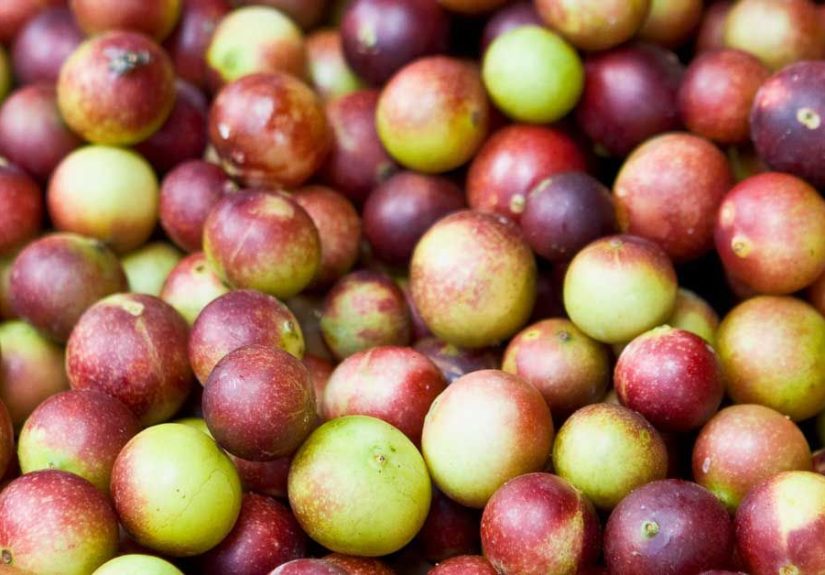7 Evidence-Based Health Benefits of Camu Camu