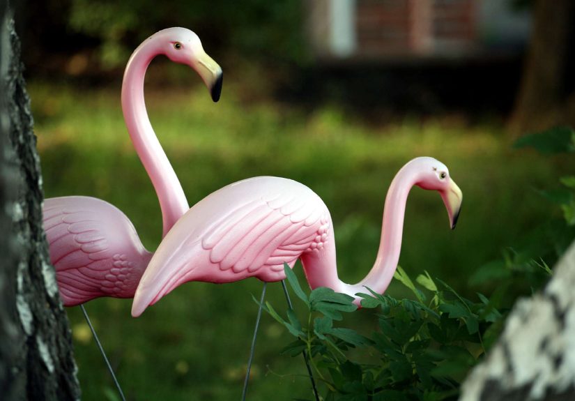 9 Front Yard Decorations That Are Definitely Bothering Your Neighbors