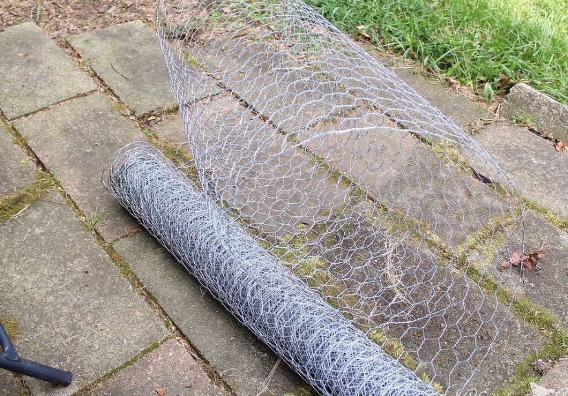 DIY Deer Head Made From Chicken Wire!