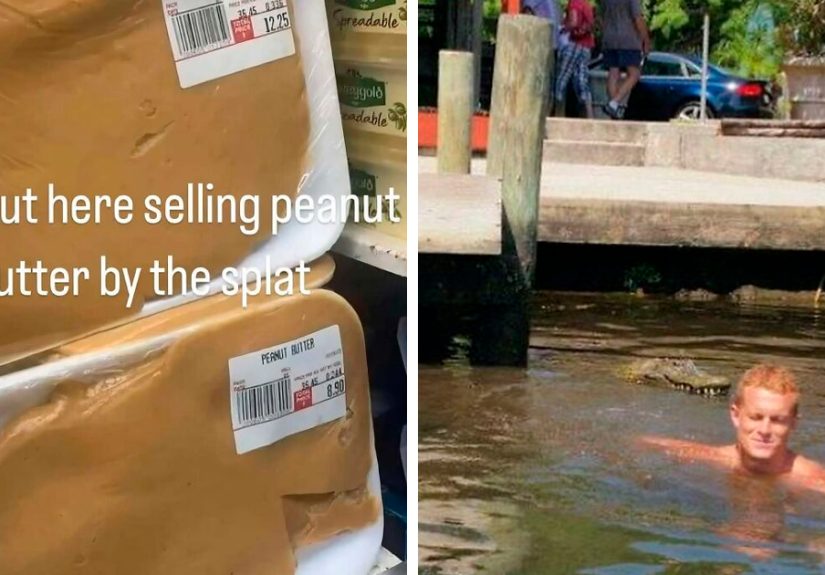 "Fried Godzilla": 73 Amusing But Disturbing Pics You Might Only Want To See Once