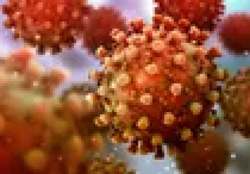 How COVID-19 Affects Your Body in Pictures