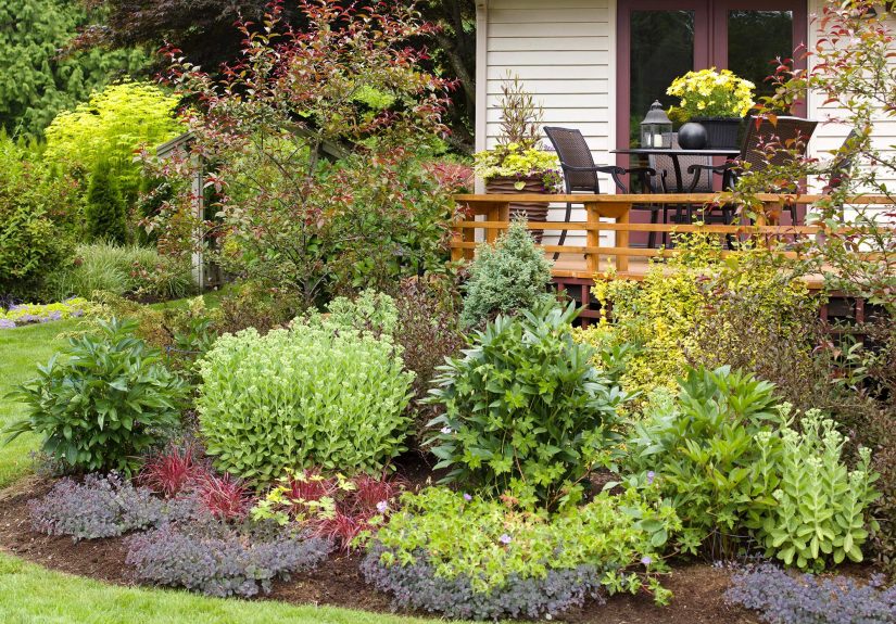 How to Landscape Around a Deck to Enhance Your Backyard