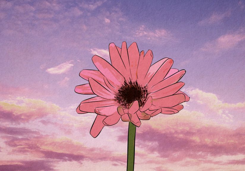 Loves Me, Loves Me Not: Does Your Crush Like You?