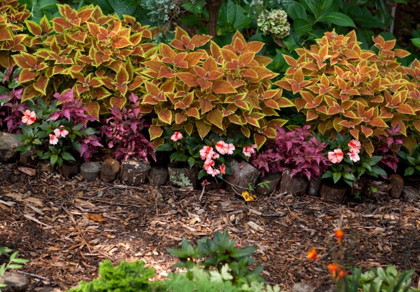 The Best Time to Apply Fall Mulch, According to Gardening Experts
