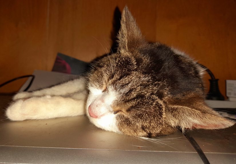 The Thing Which Are You Most Proud Of From Last Month In Image