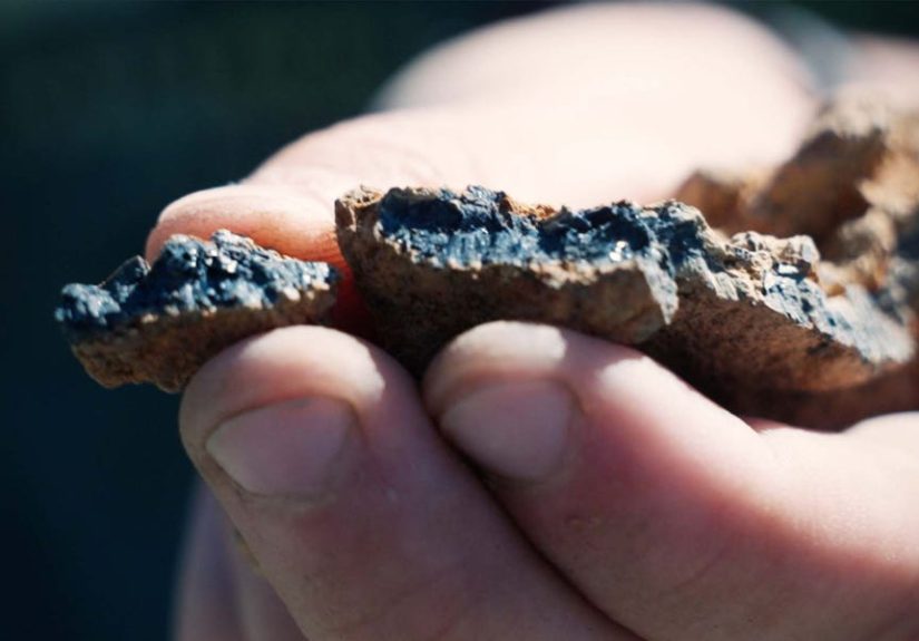 Why Are Thousands of Fossils Emerging From a New Jersey Quarry?